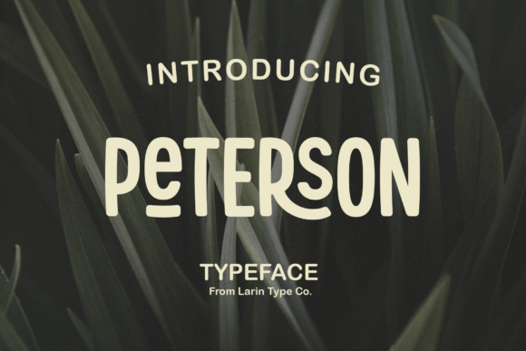 Peterson: A Versatile Display Sans Serif for Modern Design